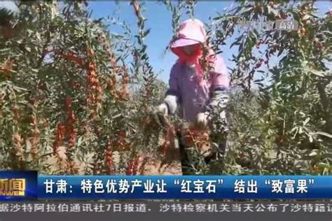 【短视频】上半年甘肃省经济运行稳中有进 趋势向好 地区生产总值同比增长10.5%-丝路明珠网