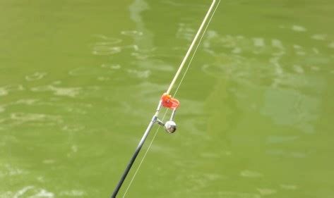 鱼竿的长短和鱼线怎么搭配？鱼竿和鱼线的搭配方法和作用 - 垂钓之家