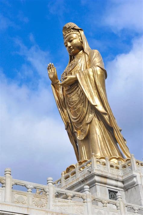 中国佛教四大名山之浙江普陀山-观音菩萨道场-佛教导航