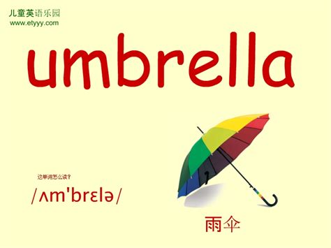 单词umbrella