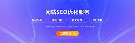 国内seo公司优化哪类网站 的图像结果