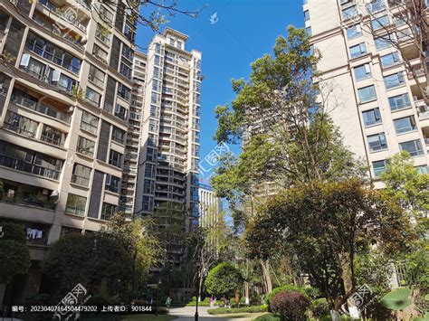 [重庆]高档居住区三期景观设计方案-居住区景观-筑龙园林景观论坛