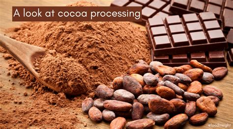 Sale > cocoa powder v cacao powder > in stock