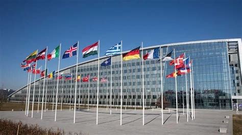 北约秘书长：“期待未来几天内在北约总部升起芬兰国旗”_凤凰网
