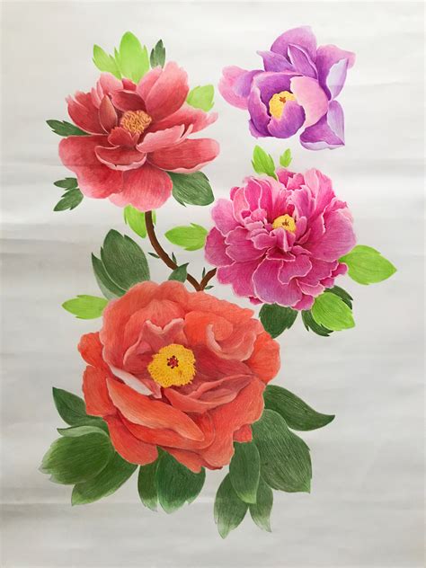 彩铅画图片