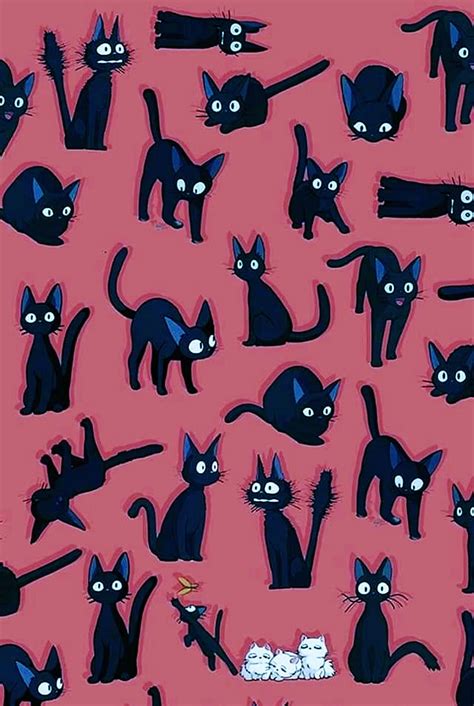 Jiji Cat Wallpapers - Top Free Jiji Cat Backgrounds - WallpaperAccess