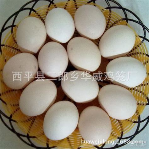 [鸡种蛋批发]火鸡种蛋 700系尼古拉火鸡苗，种蛋，的重型火鸡，公鸡能长50几斤价格24.5元/个 - 惠农网