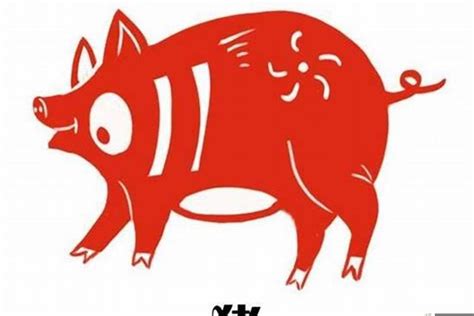2020年生肖猪的运势： 转给属猪的朋友！