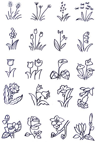 100种花的简笔画植物,6个花瓣简笔画,花的黑板报_大山谷图库