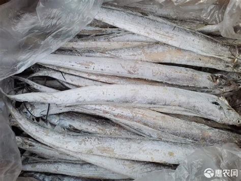 新鲜东海带鱼段500g *4包共4斤冷冻生鲜 鱼类-（无冰衣发货）【价格 图片 正品 报价】-邮乐网