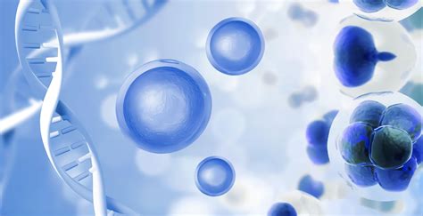 干细胞治疗高血压及并发症临床研究进展-杭吉干细胞科技