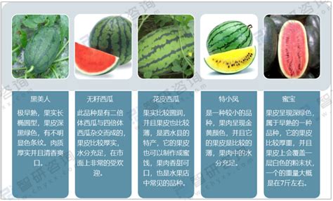 数据告诉你，中国如何实现西瓜产量全球第一