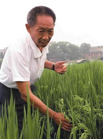 袁隆平生前有两个梦想：一是禾下乘凉，二是杂交水稻覆盖全球_凤凰网