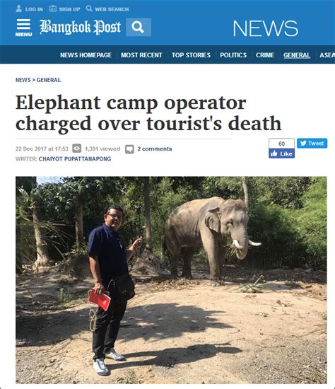 大象踩死中国领队：涉事大象“退休”，大象营经营者、驯象师遭指控