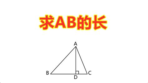 锐角三角形函数-解直角三角形_中考数学复习_武汉中考网