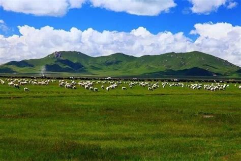 2024甘南景区景点全免费，现在去正合适！4条甘南旅游最佳线路推荐给你,甘南藏族自治州旅游攻略-游侠客旅行