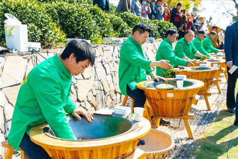 2021杭州茶文化博览会暨西湖龙井开茶节开幕——浙江在线