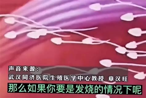 中国维和部队遭恐袭致1死4伤 外交部：不可容忍_凤凰资讯