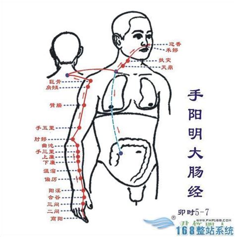 心包经经络图走向图片 心包经经络图走向图片