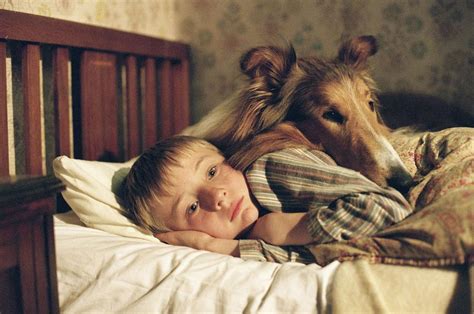 《新灵犬莱西》-高清电影-完整版在线观看