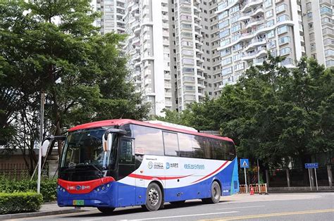 春节期间，深圳巴士集团将开通8条公园接驳巴士_深圳24小时_深新闻_奥一网