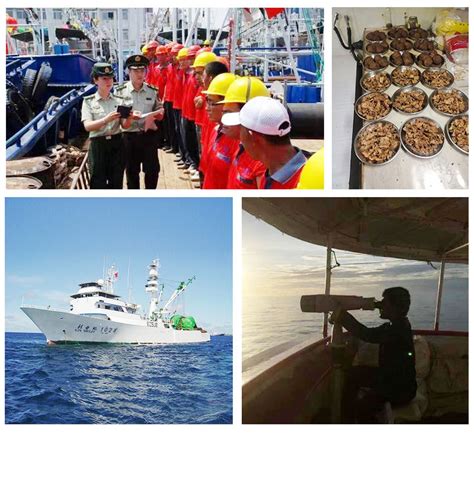 泸州招聘船员,跟船出海的工作哪里找,包吃包住 - 「宁波领行船务」