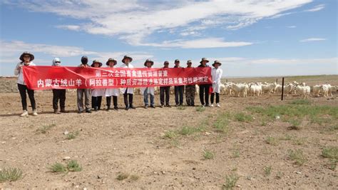 “呼和浩特羊绒”喜获中国畜牧地理标志百强品牌