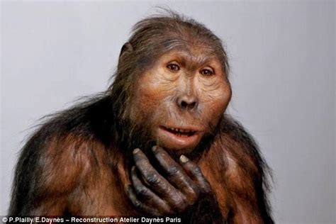 揭秘原始人进化史：艺术家复活“人类祖先” | 氧分子网