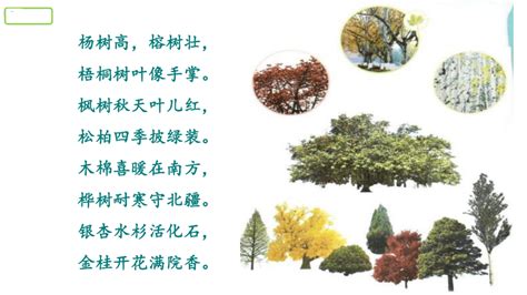 多种树的拼音,种树的多音字,种树什么拼音(第10页)_大山谷图库