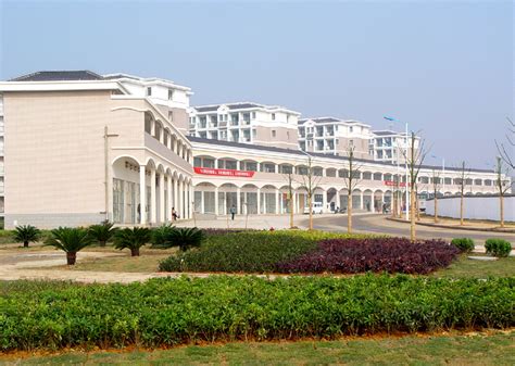 青山湖科技城这些学校有最新进展-杭州365淘房