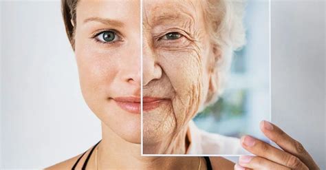 皮肤自然衰老的真相——如何预防皮肤氧化 - 知乎