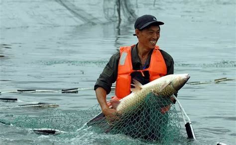 三峡大坝蓄水近20年,成了鱼类的天堂,如今里面最大的鱼有多大?
