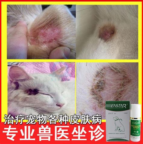 澳洲可得治皮肤膏疥螨蠕形螨细菌真菌图片