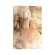 iCanvas "Gilded Movement I" by Grace Popp Canvas Print - Bed Bath ...