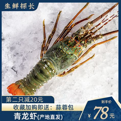 东山特大青龙虾海鲜水产冷冻小龙虾深海波士顿龙虾海捕鲜活大龙虾-淘宝网