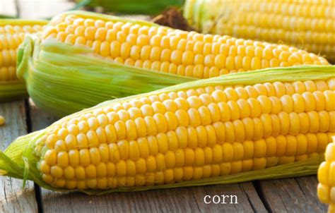 英文单词：玉米corn是可数名词还是不可数名词-百度经验