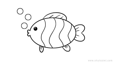 鱼简笔画大全图片