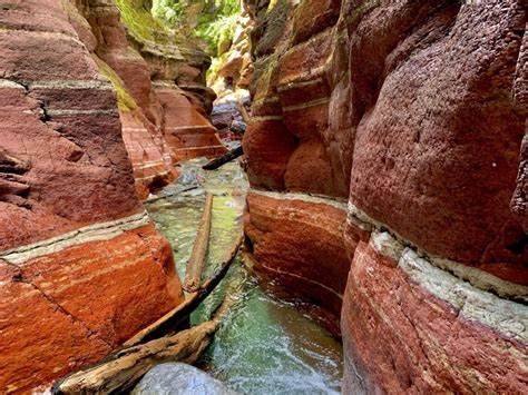 Red Rock Canyon Hike - Waterton Lakes National Park - The Holistic ...