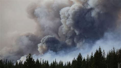 加拿大林火起数增至583起 过火面积近840万公顷 - 2023年7月4日, 俄罗斯卫星通讯社