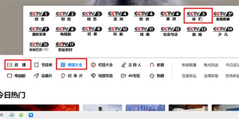 直播-cctv5直播-今天CCTV5将播出什么活动？.txt - 哇谷IM即时通讯