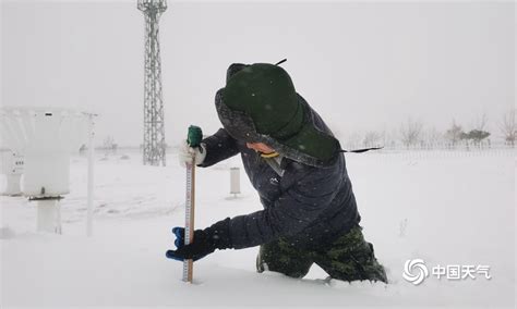 绿色电网赋能美好生活-时政-内蒙古新闻网