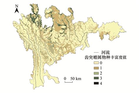 巫山角蟾-中国两栖动物及分布-图片