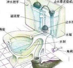 马桶内部结构图图片