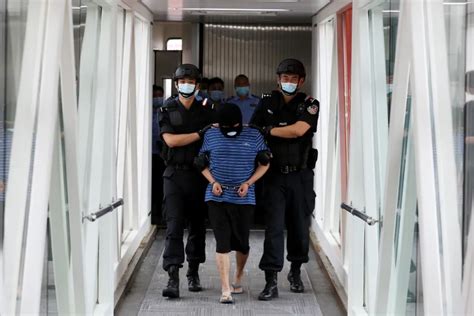 武汉警方抓获一级“钉子”逃犯：跨境跨省遥控贩毒