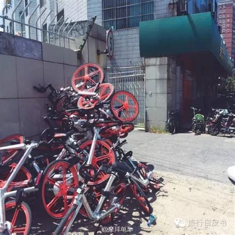 摩拜单车在上海运营3个月后，创始人哭了...__财经头条