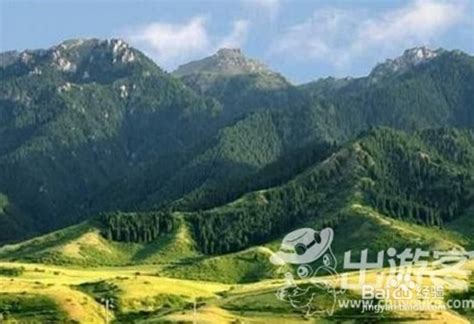 新疆乌鲁木齐将建绿色建筑产业园 - 新疆 - 友绿智库