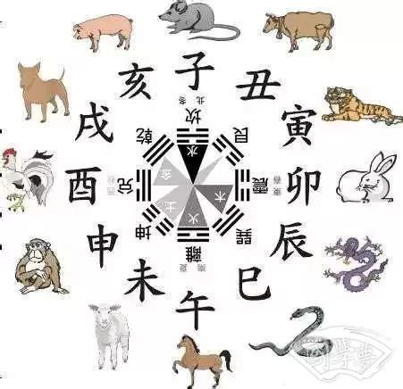 十二生肖八卦图图片