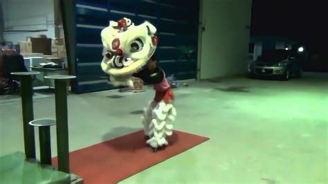 广西梧州：狮舞校园_时图_图片频道_云南网