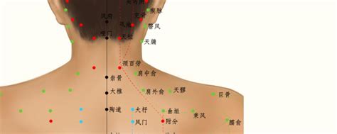 胰俞的准确位置图图片 胰俞的准确位置图图片
