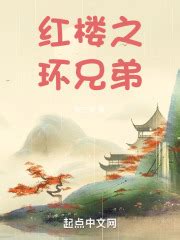 第一章 贾家庶子 _《红楼之环兄弟》小说在线阅读 - 起点中文网